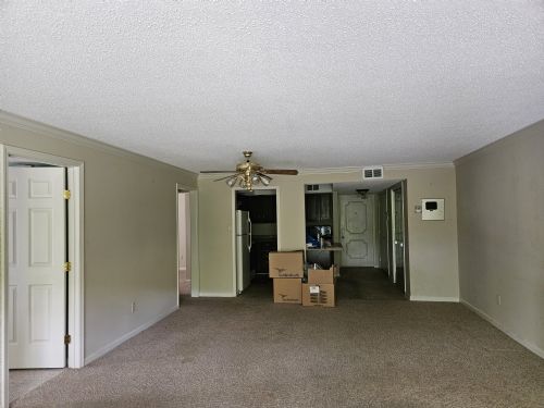 Lewis Auction
