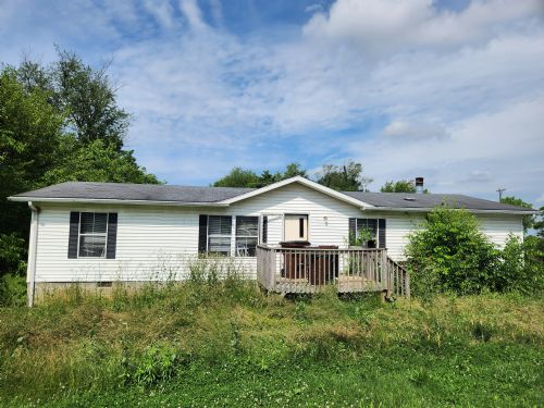 Lewis Auction