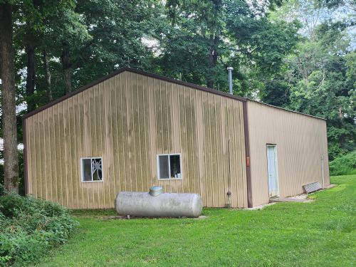 Lewis Auction