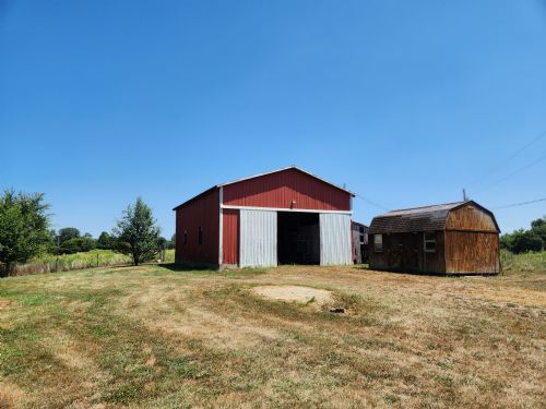 Lewis Auction