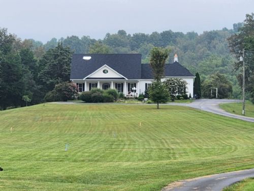 Lewis Auction