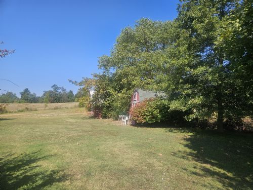 Lewis Auction