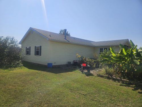 Lewis Auction
