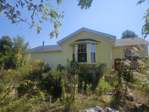 Lewis Auction
