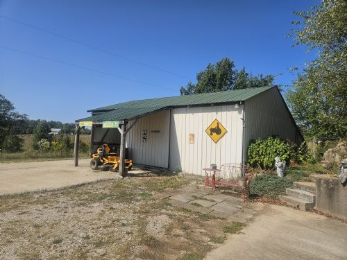 Lewis Auction