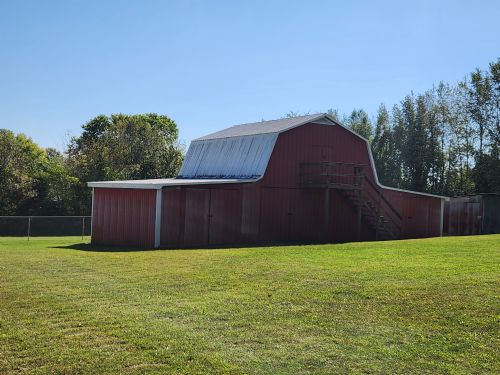 Lewis Auction