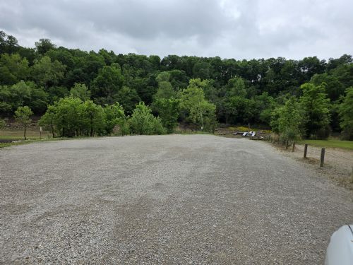 Lewis Auction