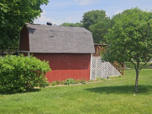 Lewis Auction