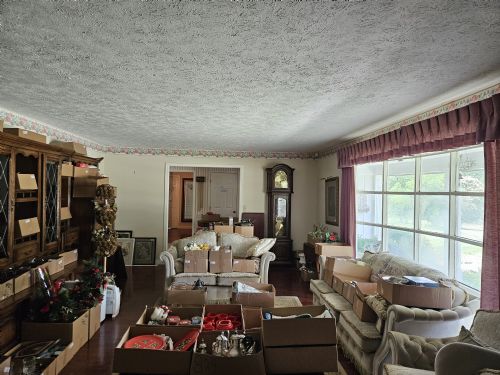 Lewis Auction