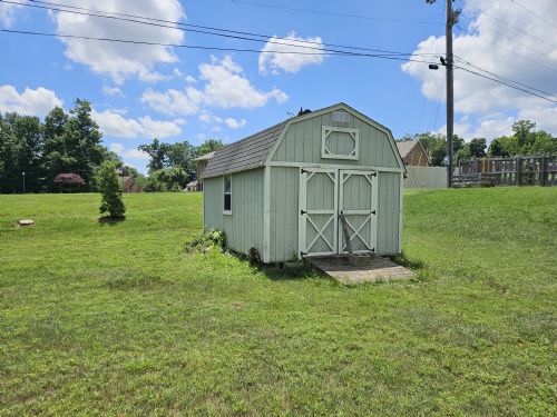Lewis Auction