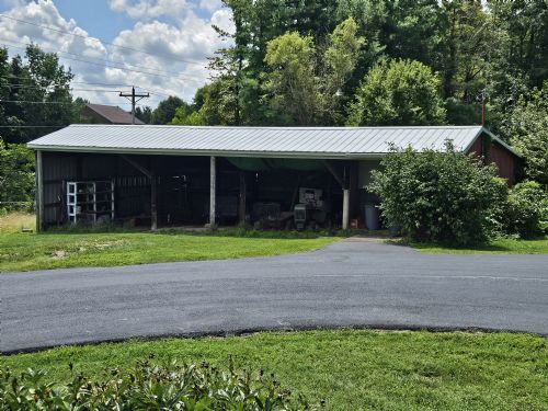 Lewis Auction