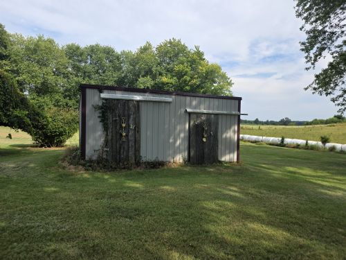 Lewis Auction