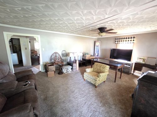 Lewis Auction