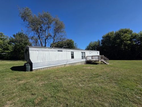 Lewis Auction