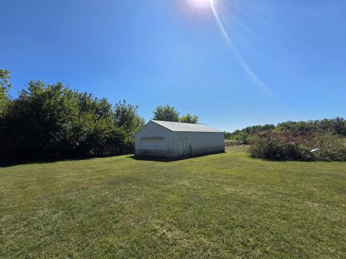 Lewis Auction