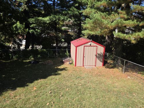 Lewis Auction