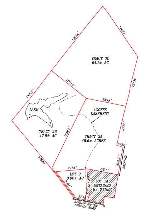 Lewis Auction