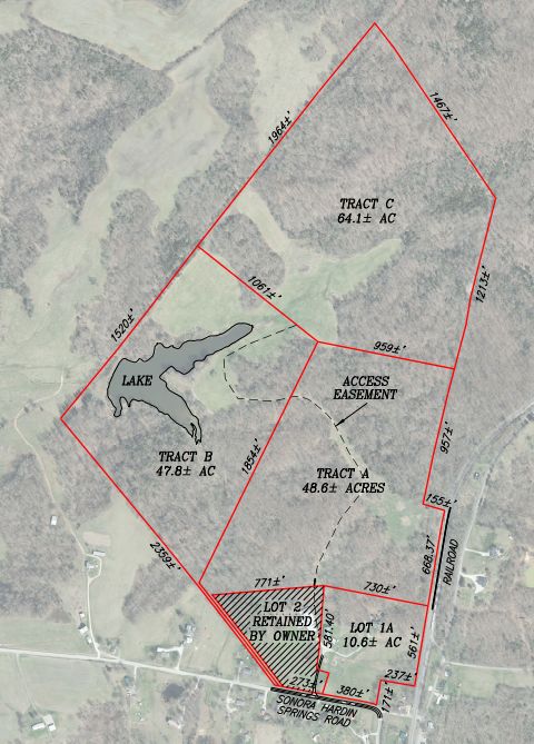 Lewis Auction