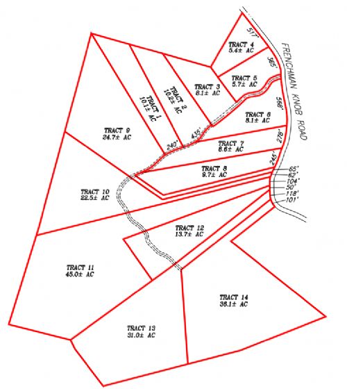 Lewis Auction