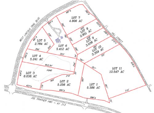 Lewis Auction