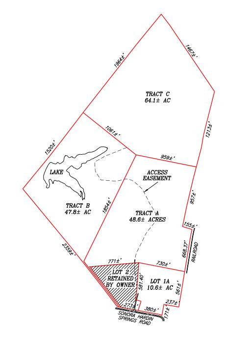 Lewis Auction
