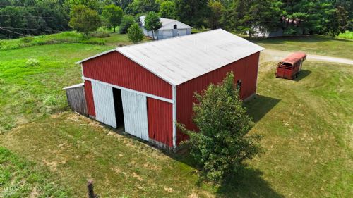 Lewis Auction