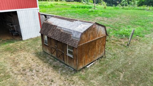 Lewis Auction