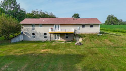 Lewis Auction