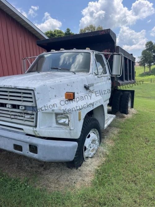 Lewis Auction