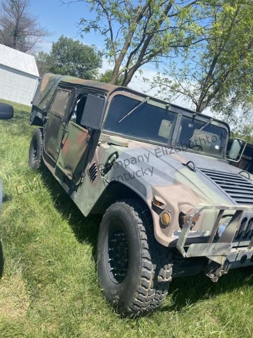 Lewis Auction