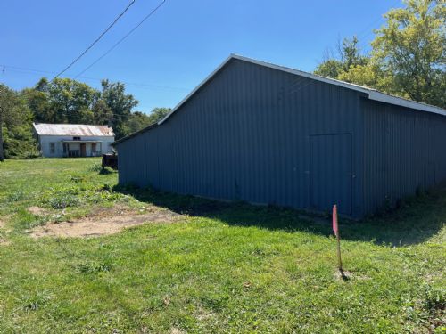 Lewis Auction