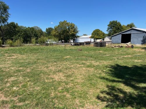 Lewis Auction