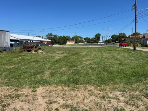 Lewis Auction