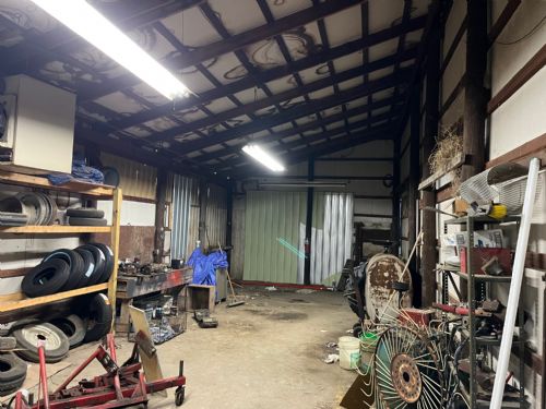 Lewis Auction