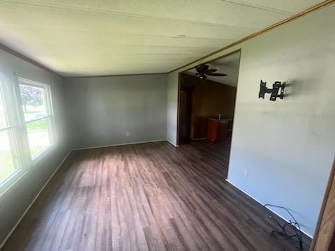 Lewis Auction
