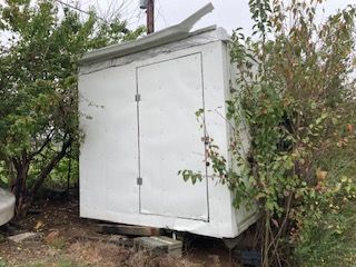 Lewis Auction