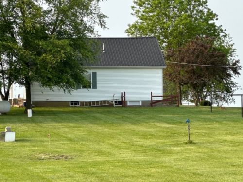 Lewis Auction