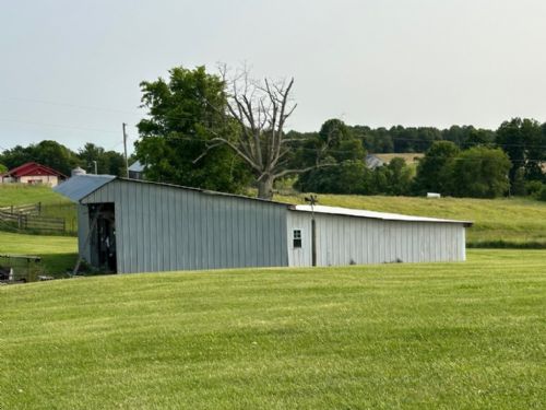 Lewis Auction