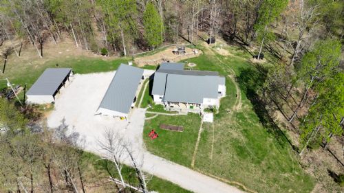 Lewis Auction