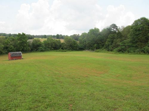 Lewis Auction