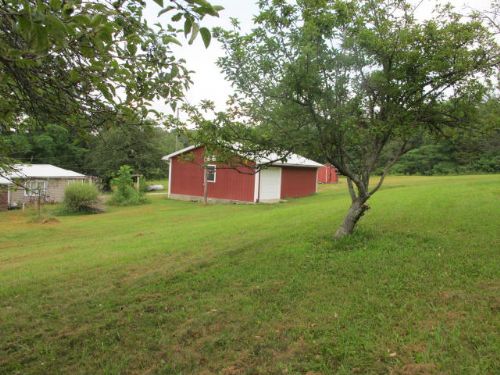 Lewis Auction