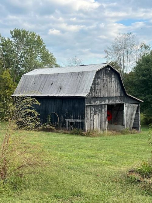 Lewis Auction