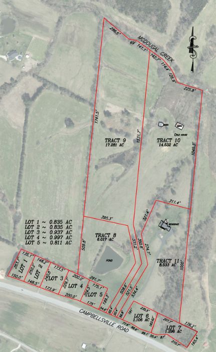 Lewis Auction