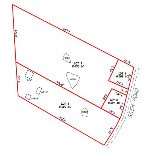 Lewis Auction