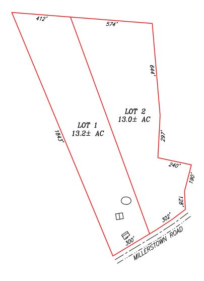 Lewis Auction