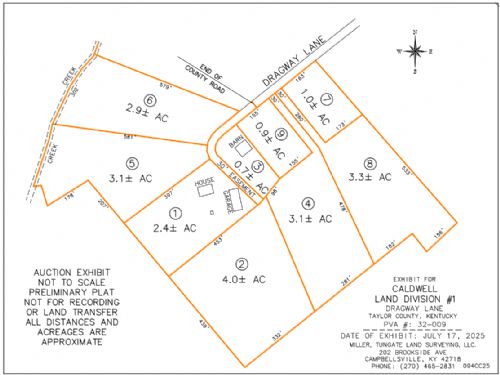Lewis Auction