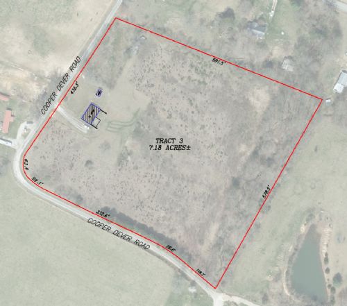 Lewis Auction