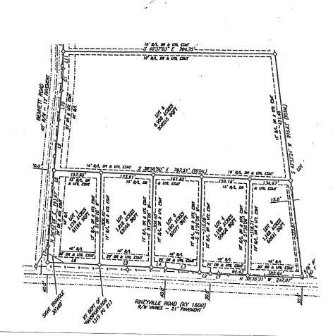 Lewis Auction