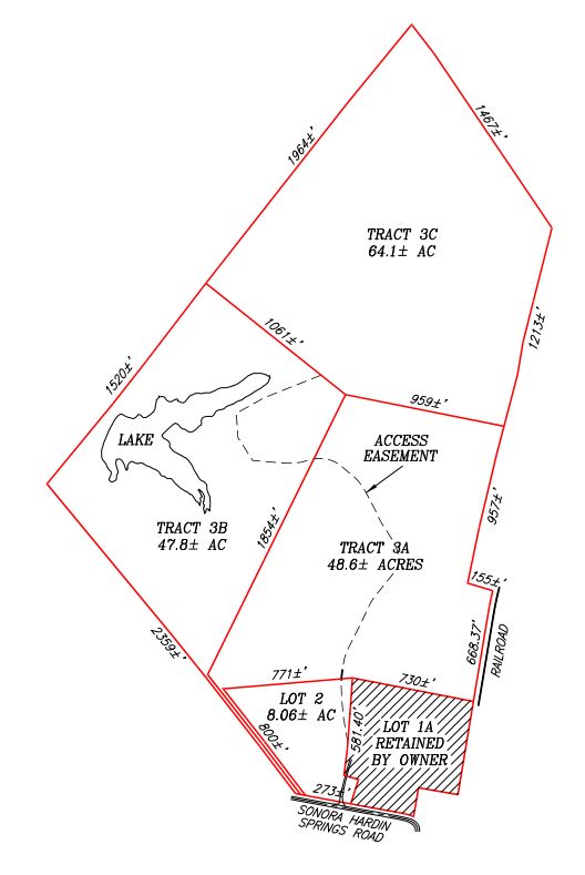 Lewis Auction