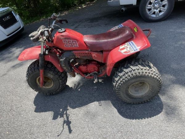 Lewis Auction